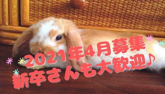 洗足うさぎ幼稚園の求人 保育求人ガイド